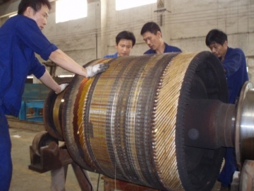 振動(dòng)電機(jī)振動(dòng)過(guò)大是由哪些原因?qū)е?，如何處?></div>
                            <div   id=