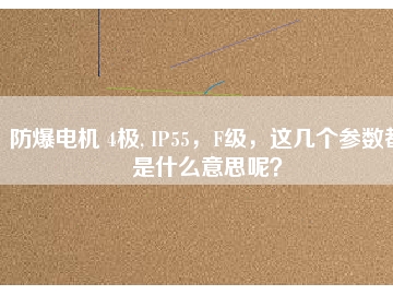 防爆電機(jī) 4極, IP55，F(xiàn)級(jí)，這幾個(gè)參數(shù)都是什么意思呢？