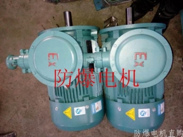 防爆電機分類：防爆電機選型、參數(shù)、定義