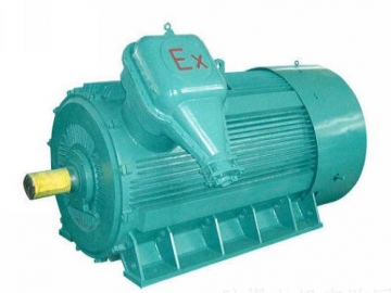 防爆電機(jī)如何出現(xiàn)掃膛、振動(dòng)、軸承過(guò)熱要怎么處理