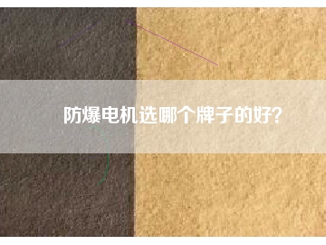 防爆電機選哪個牌子的好？