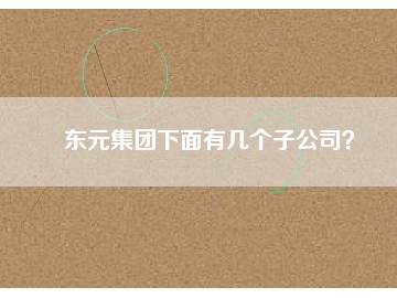 東元集團(tuán)下面有幾個(gè)子公司？