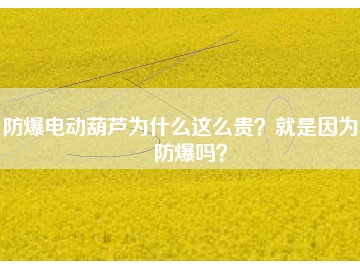 防爆電動葫蘆為什么這么貴？就是因?yàn)槟芊辣瑔幔?></div>
                            <div   id=