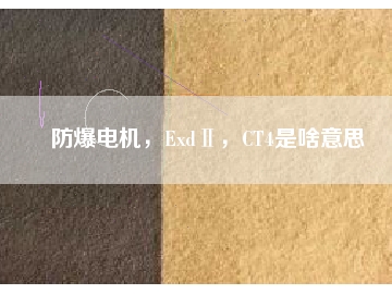 防爆電機(jī)，ExdⅡ，CT4是啥意思