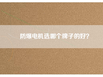 防爆電機(jī)選哪個牌子的好？