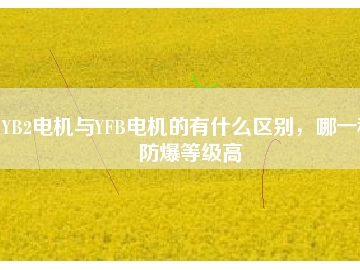 YB2電機(jī)與YFB電機(jī)的有什么區(qū)別，哪一種防爆等級(jí)高