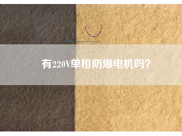 有220V單相防爆電機嗎？