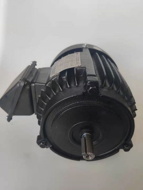 永磁電機(jī) DVEX  75KW  3000RPM  F#200L IE4效率電機(jī)