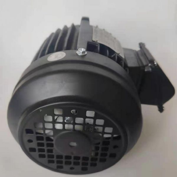 永磁電機(jī) DVEX  75KW  3000RPM  F#200L IE4效率電機(jī)