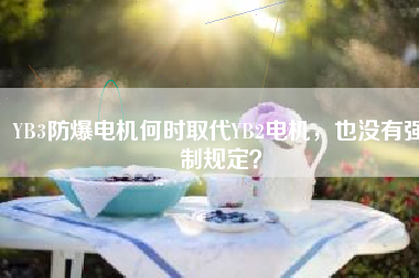 YB3防爆電機(jī)何時(shí)取代YB2電機(jī)，也沒(méi)有強(qiáng)制規(guī)定？