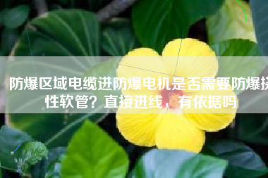 防爆區(qū)域電纜進防爆電機是否需要防爆撓性軟管？直接進線，有依據(jù)嗎