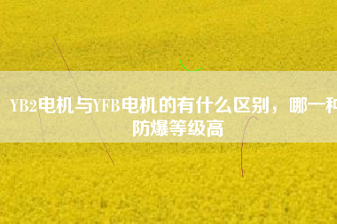 YB2電機(jī)與YFB電機(jī)的有什么區(qū)別，哪一種防爆等級高