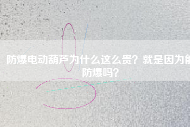 防爆電動(dòng)葫蘆為什么這么貴？就是因?yàn)槟芊辣瑔幔? title=