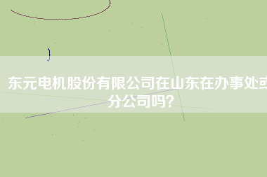 東元電機(jī)股份有限公司在山東在辦事處或分公司嗎？