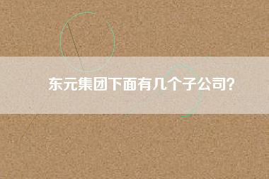 東元集團(tuán)下面有幾個(gè)子公司？