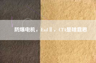 防爆電機，ExdⅡ，CT4是啥意思