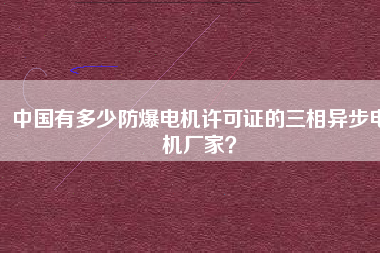 中國有多少防爆電機許可證的三相異步電機廠家？