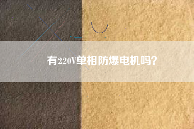 有220V單相防爆電機(jī)嗎？