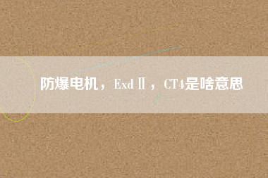 防爆電機(jī)，ExdⅡ，CT4是啥意思